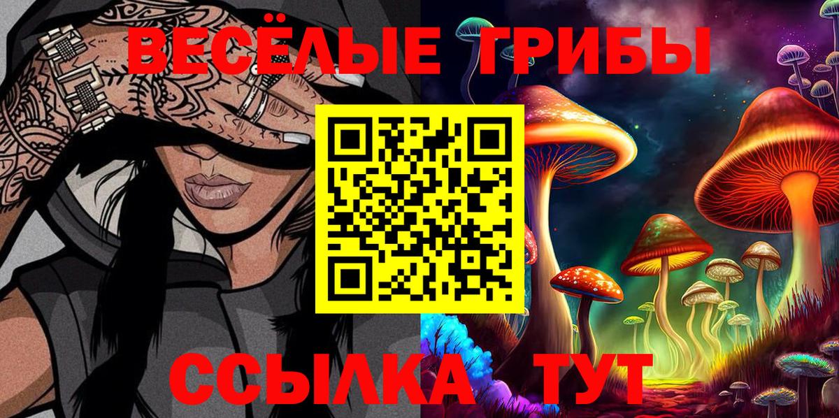 Галлюциногенные грибы Psilocybine cubensis  Вход с VPN  Свободный  купить  цена  Галлюциногенные грибы мицелий 