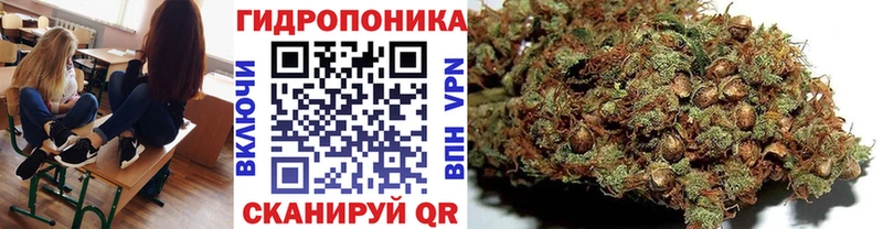 MEGA онион цена Свободный Бошки марихуана LSD WEED